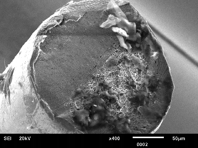MEB Rupture en fatigue d'un fil de flexible en inox